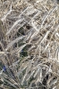 Anbindern_017