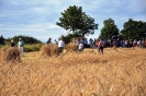 Anbindern_057