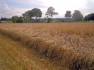 Anbindern_182