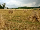 Anbindern_295