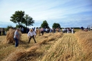 Anbindern_061