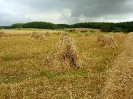 Anbindern_296