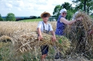 Anbindern_045