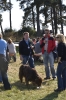 grenzbegang_2012_69