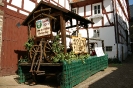 Altstadtmarkt Sonntag_339
