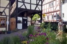 Altstadtmarkt Sonntag_146