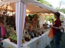 Altstadtmarkt Sonntag_454