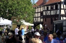 Altstadtmarkt Sonntag_193
