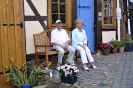 Altstadtmarkt Sonntag_181