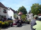Altstadtmarkt Samstag_350