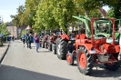 Altstadtmarkt Samstag_007