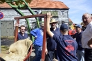 Altstadtmarkt Samstag_005