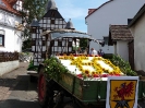 Altstadtmarkt Samstag_354