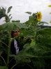 Vorbereitungen_024