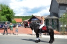 pfingsten_2012_201